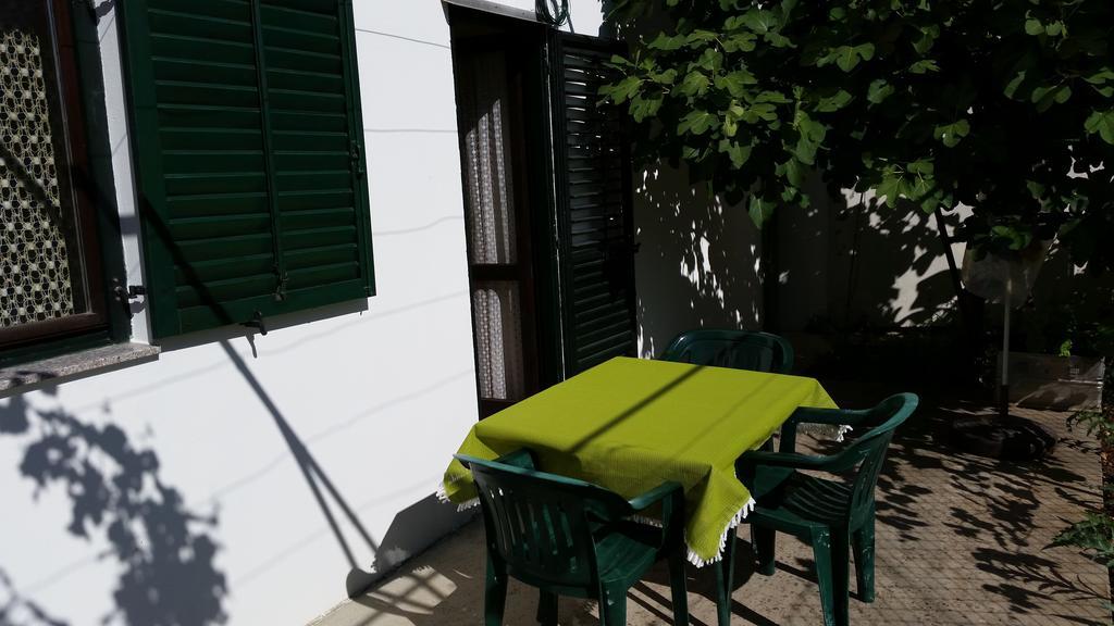 Apartments And Rooms Mirjana Bibinje Bilik gambar